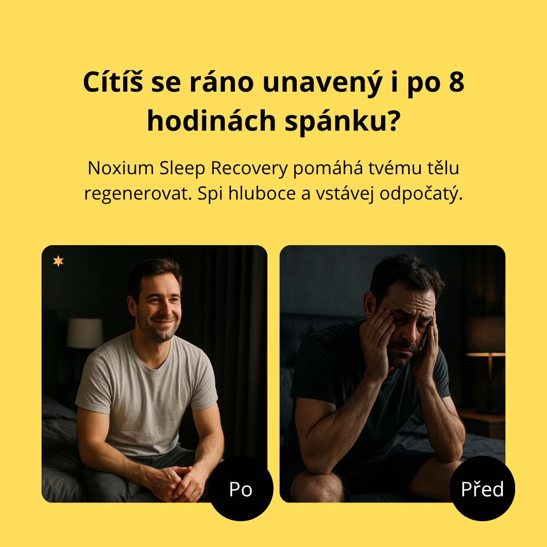 Sleep Recovery - Noxium