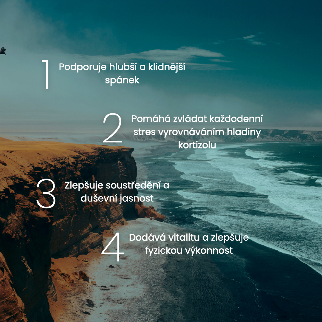 Ashwagandha 600mg - 60 kapslí