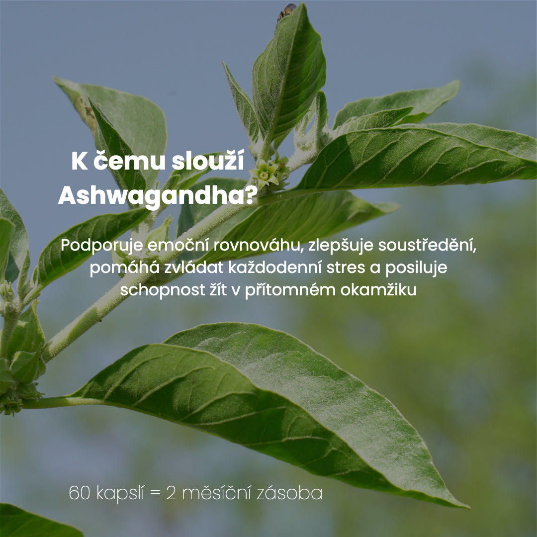 Ashwagandha 600mg - 60 kapslí